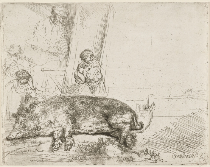 Das Schwein, 1643, Radierung, Kaltnadel, Inv.-Nr. VII,379,170