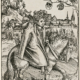 Lucas Cranach d. Ä., Sächsischer Prinz zu Pferd (Johann Friedrich I., der Großmütige), 1506, Kunstsammlungen der Veste Coburg